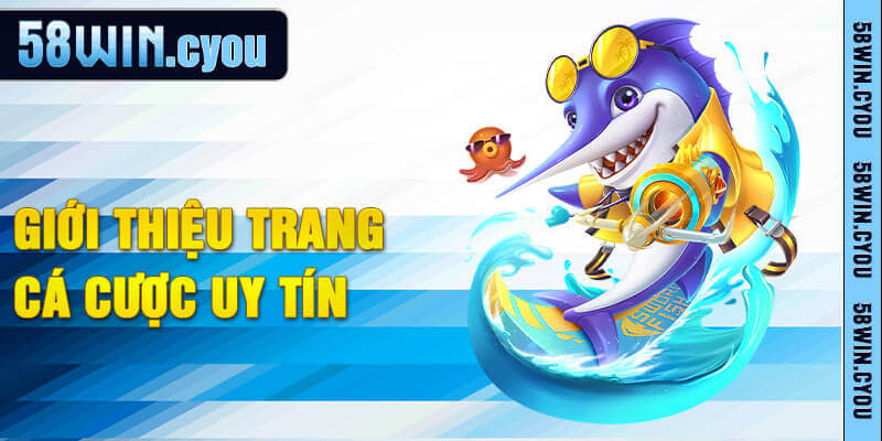 58win – Link Chính Thức 58win.com Không Chặn | Nhận Code 88K 11 Tổng hợp những nét cơ bản của nhà cái 58win